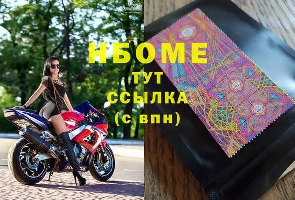 прущие грибы Алзамай