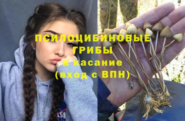 метамфетамин Алексеевка