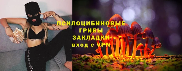 прущие грибы Алзамай