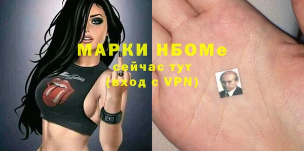 дмт Алексин