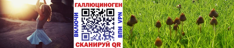 Галлюциногенные грибы Magic Shrooms  mega сайт  shop формула  где купить наркоту  Долинск 